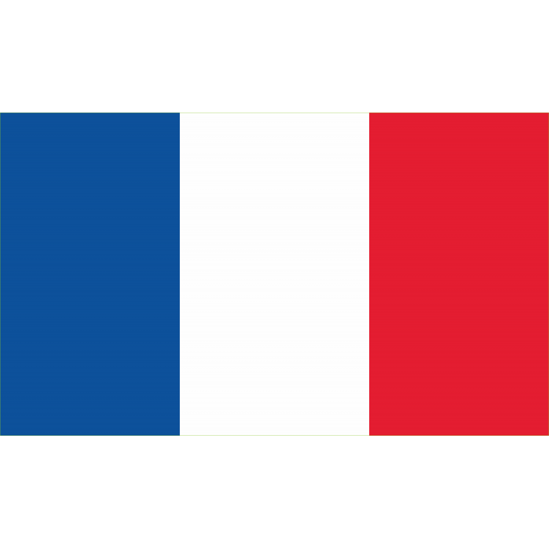 Petit drapeau France – EUROFACTO