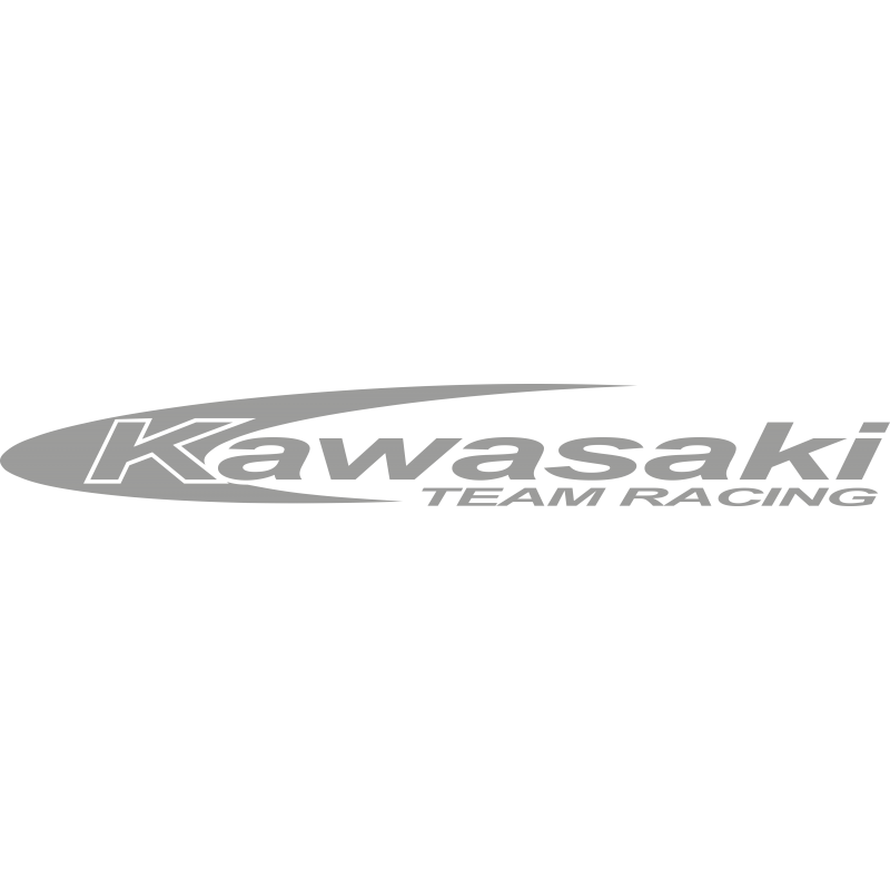 Kawasaki Team Racing