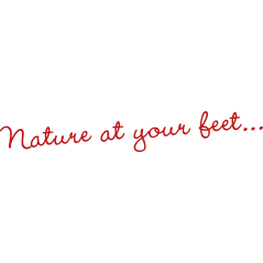 Nature at your feet