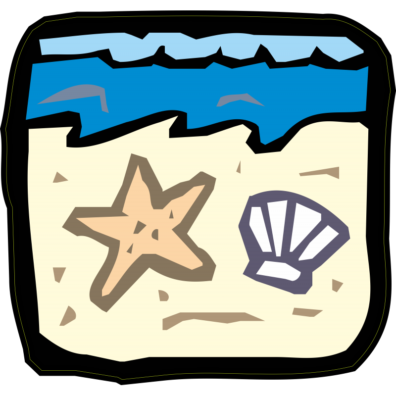 Coquillage et etoile de mer