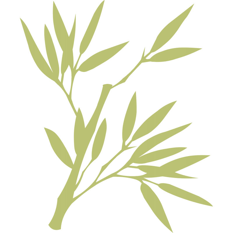 Branche olivier