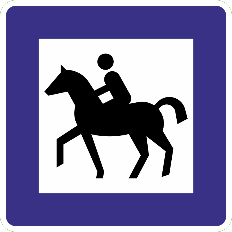 Activite equestre