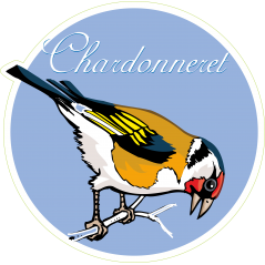 Oiseau chardonnet