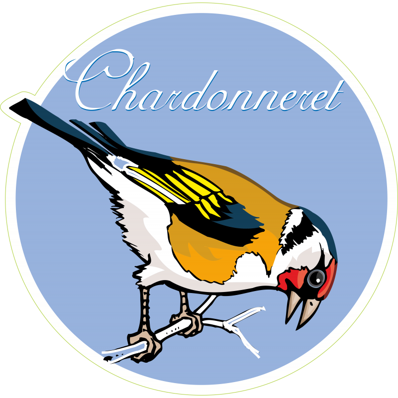 Oiseau chardonnet