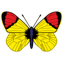 Papillon jaune rouge