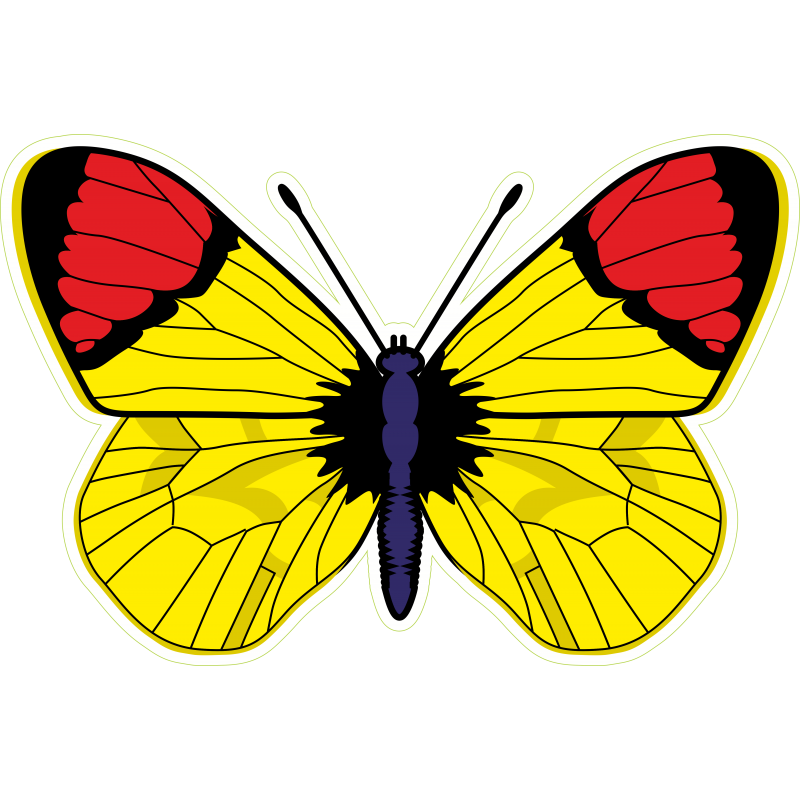 Papillon jaune rouge
