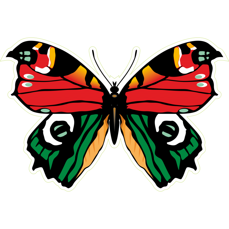 Papillon rouge vert