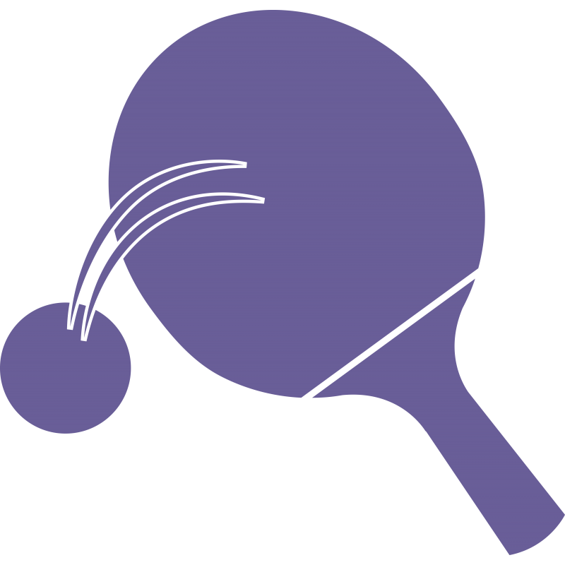 Raquette de ping pong de loisir : Commandez sur Techni-Contact