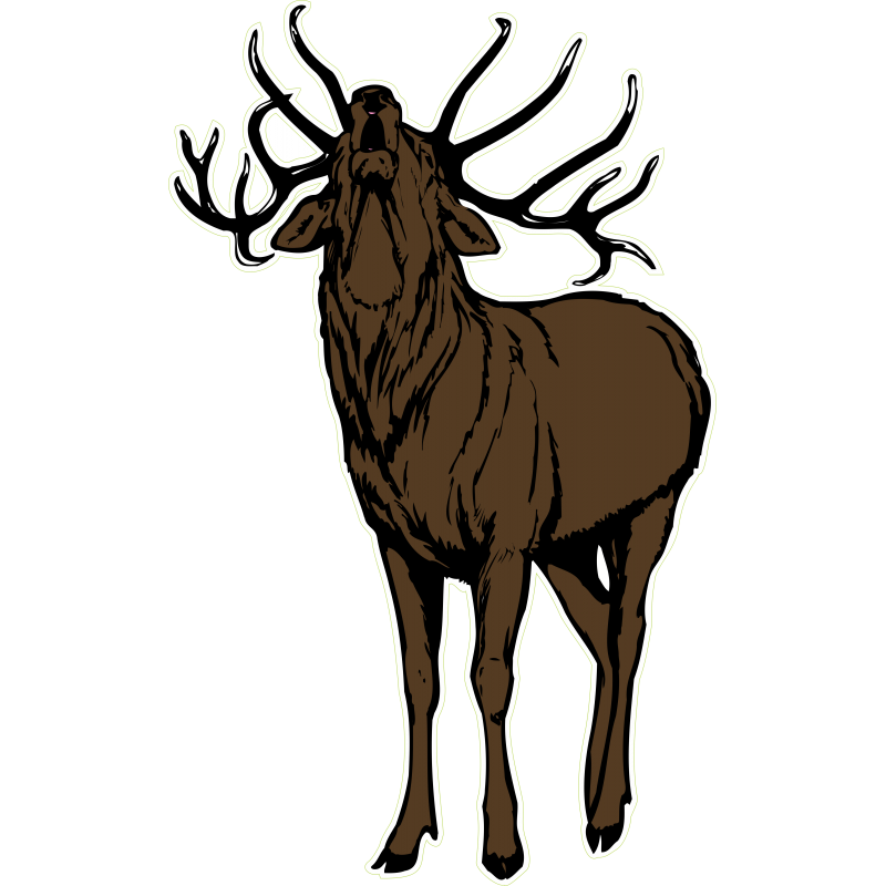 Brame du cerf à gauche