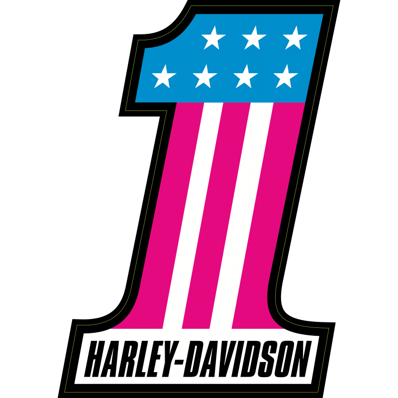 Harley Davidson N 1