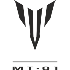 Yamaha MT 01