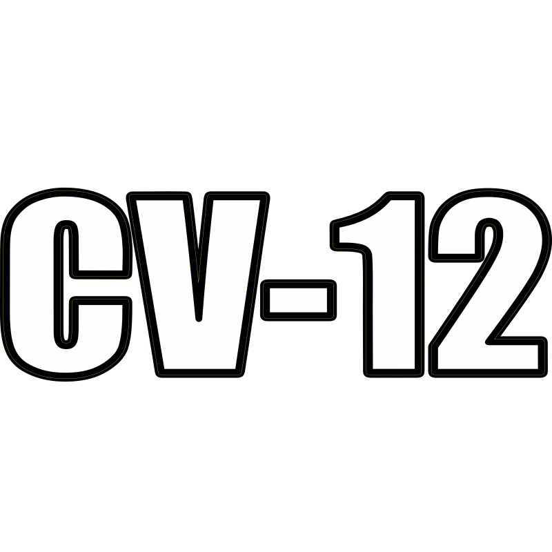 CV 12 CV 12