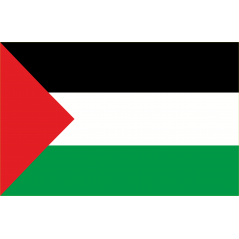 https://stickair.com/31061-home_default/drapeau-palestine.jpg