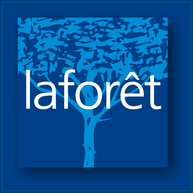 Logo pour fond bleu Logo pour fond bleu