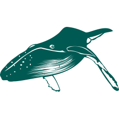 Baleine