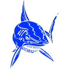 Requin