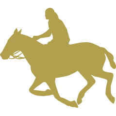 Cavalier et cheval
