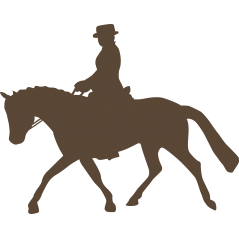 Cavaliere et cheval
