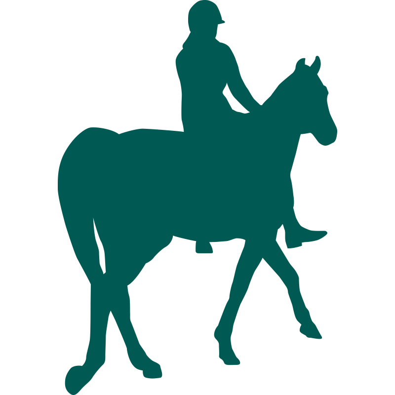 Cavalier et cheval