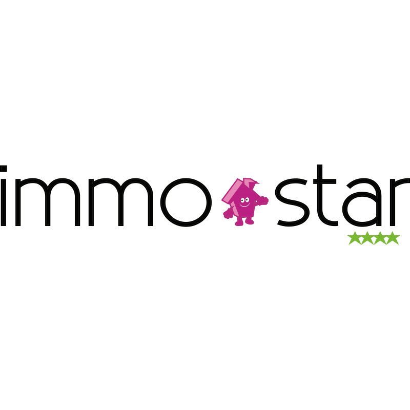 Immo star ancien logo