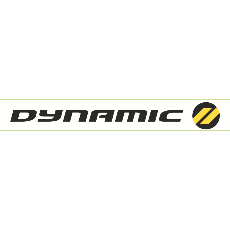 Dynamic
