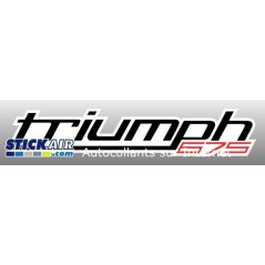 Triumph675