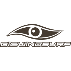 Bic Windsurf