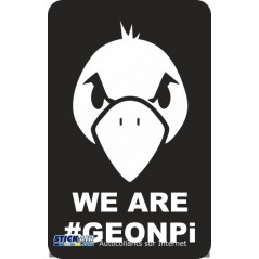 We are geonpi
