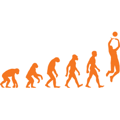 Evolution Volley