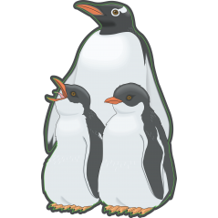Pingouins