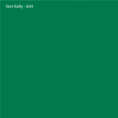Vinyle brut Vert kelly Brillant