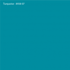 Vinyle brut Turquoise Mat