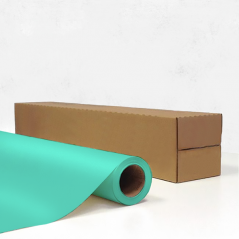 Vinyle brut Menthe Mat