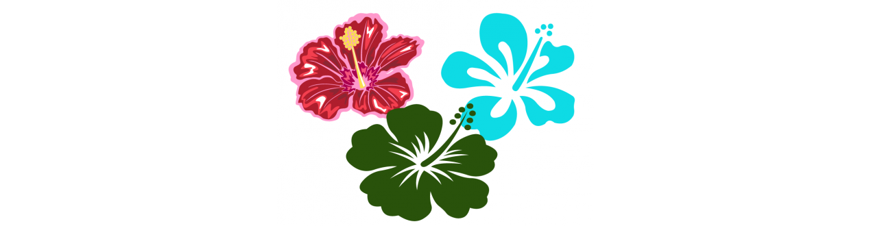 Fleurs (hawai style)